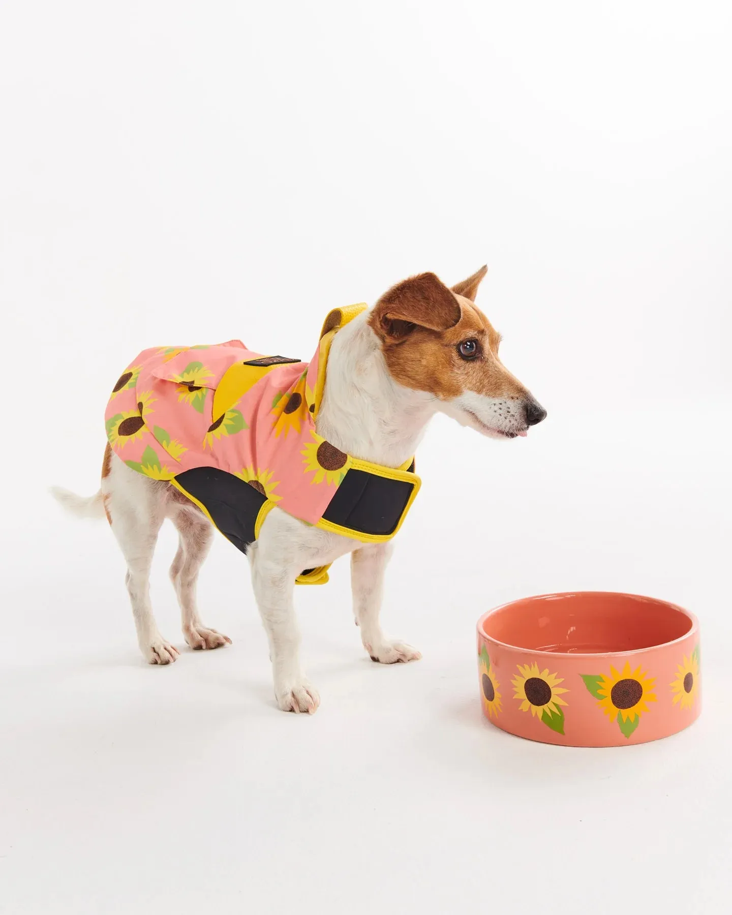 Kip & Co Sunflower Sunshine Dog Jacket