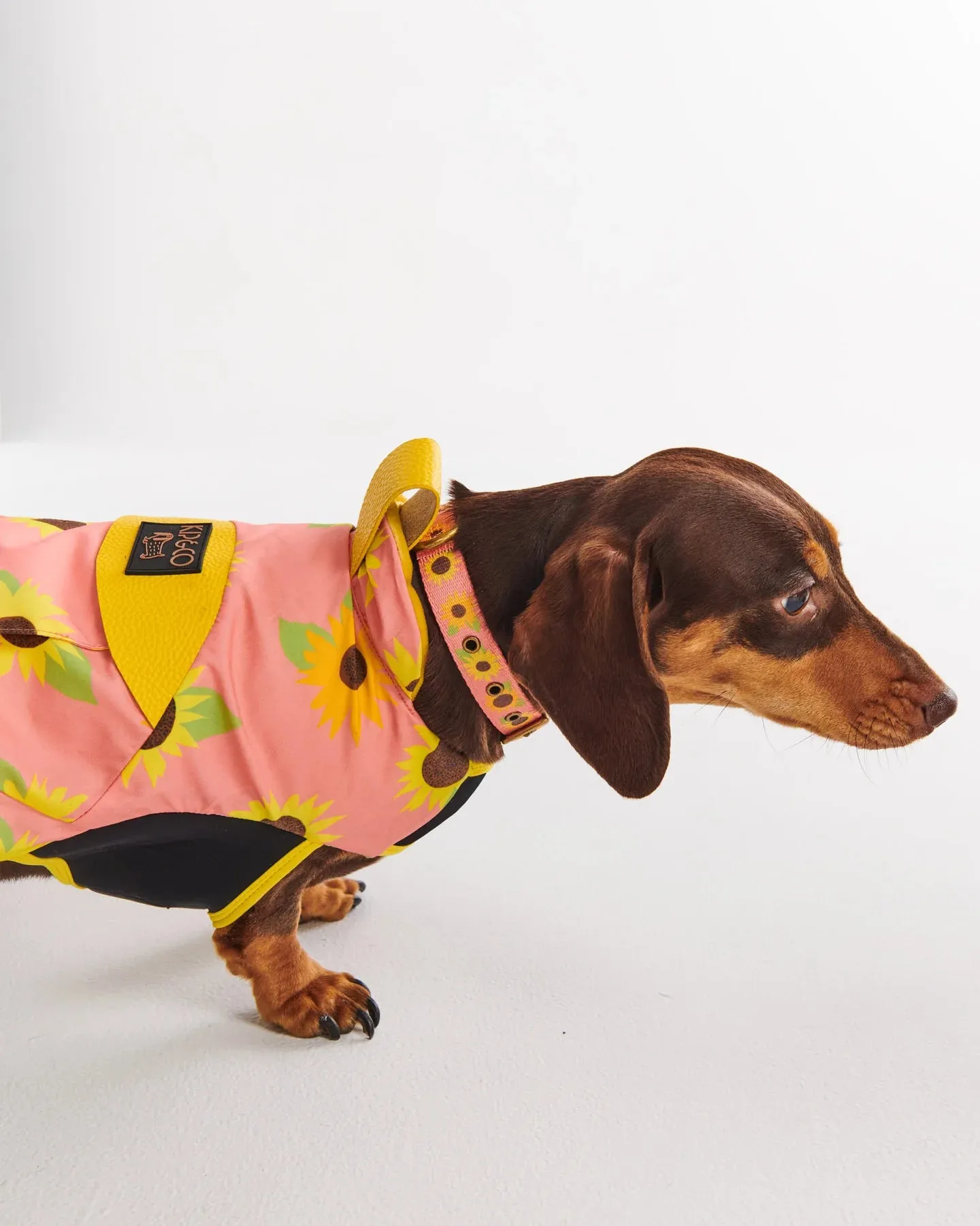 Kip & Co Sunflower Sunshine Dog Jacket