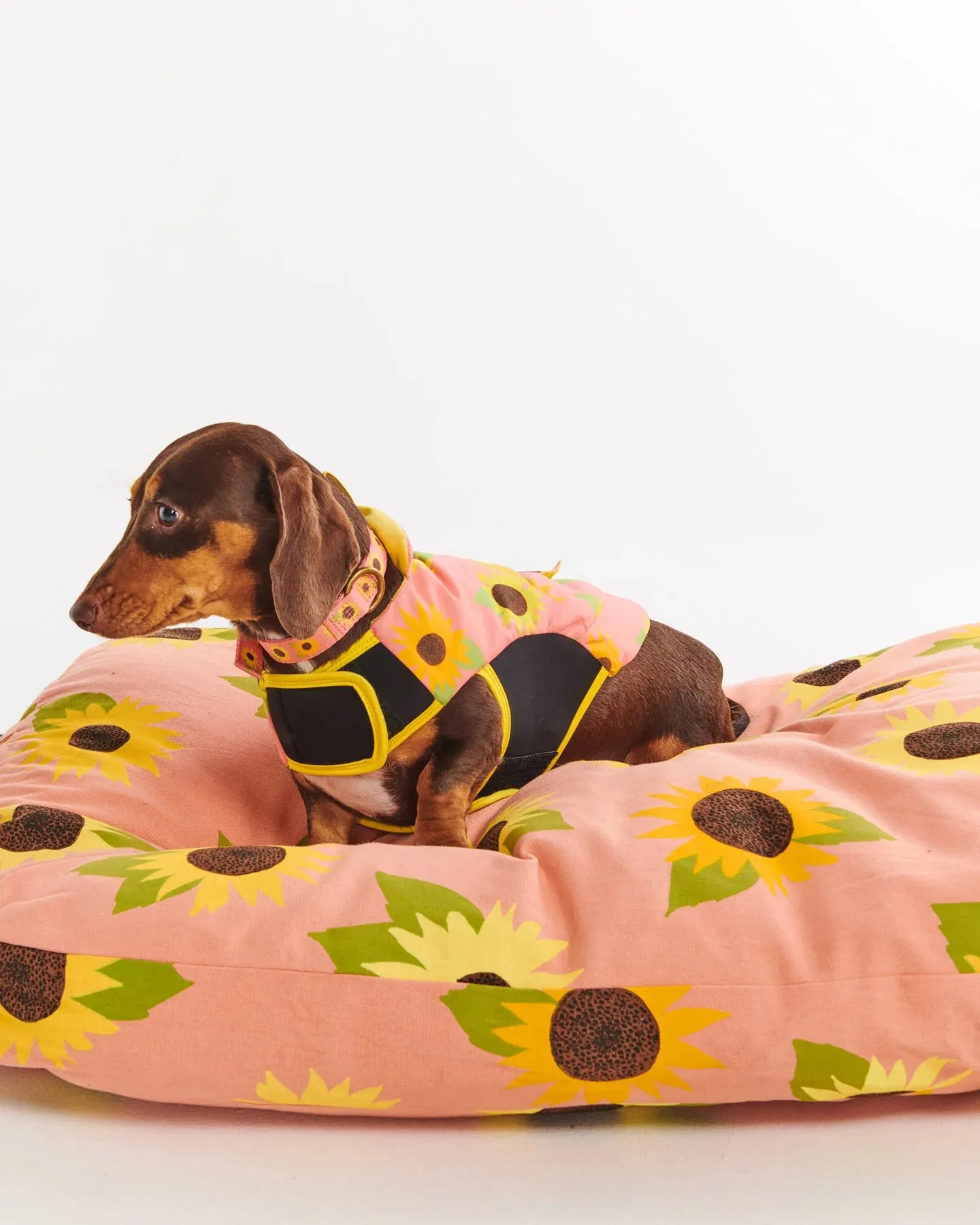 Kip & Co Sunflower Sunshine Dog Jacket