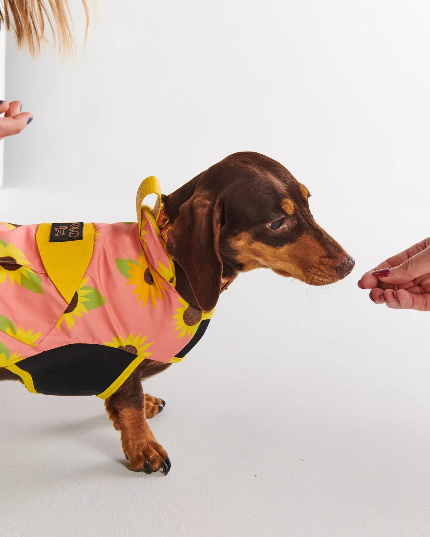 Kip & Co Sunflower Sunshine Dog Jacket