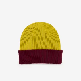 Ribbed Reversible Knit Hat