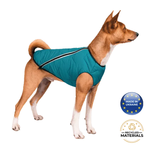 Sustainable Eco-Friendly Dog Jacket / Vest - Made in Ukraine